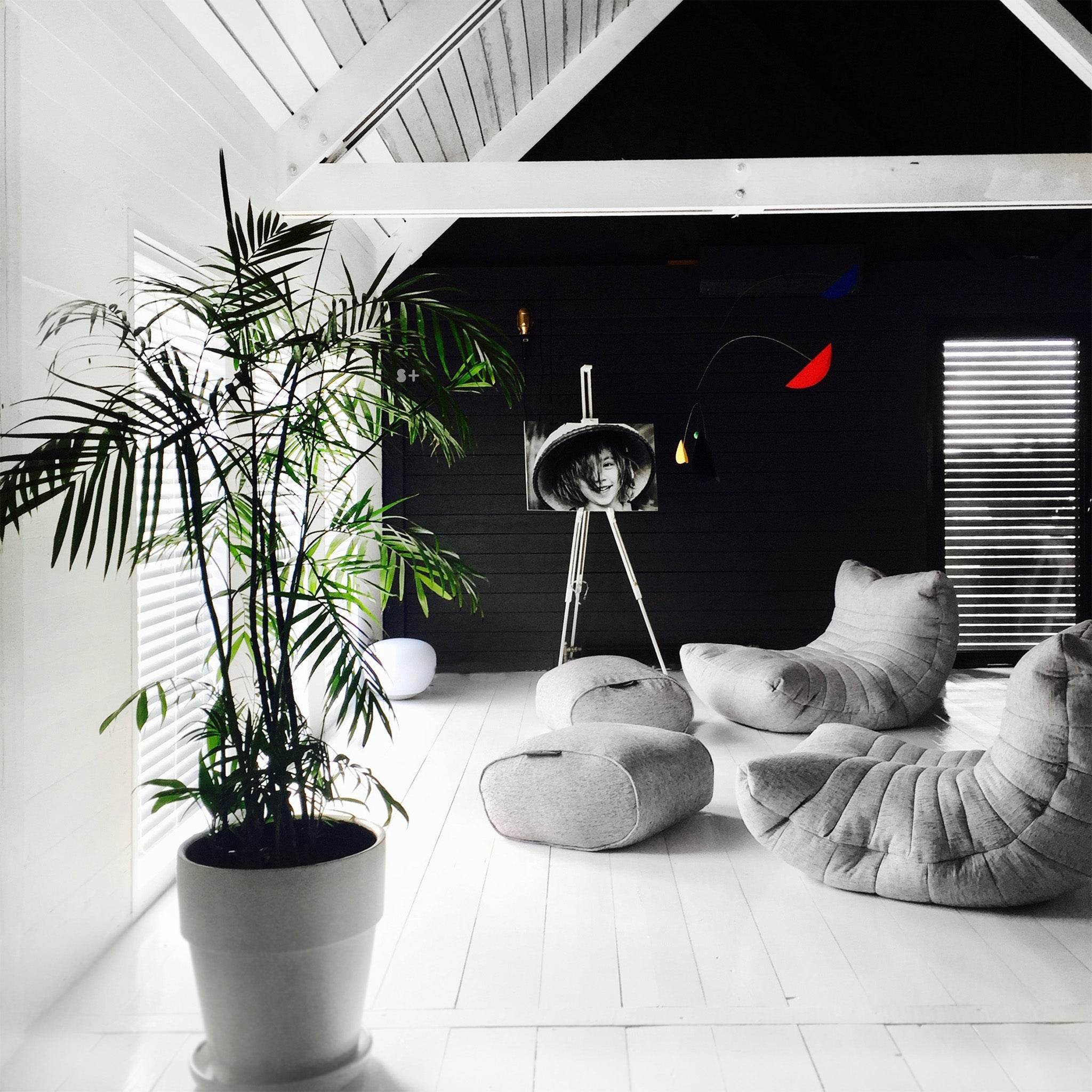 Acoustic Sofa - Interior